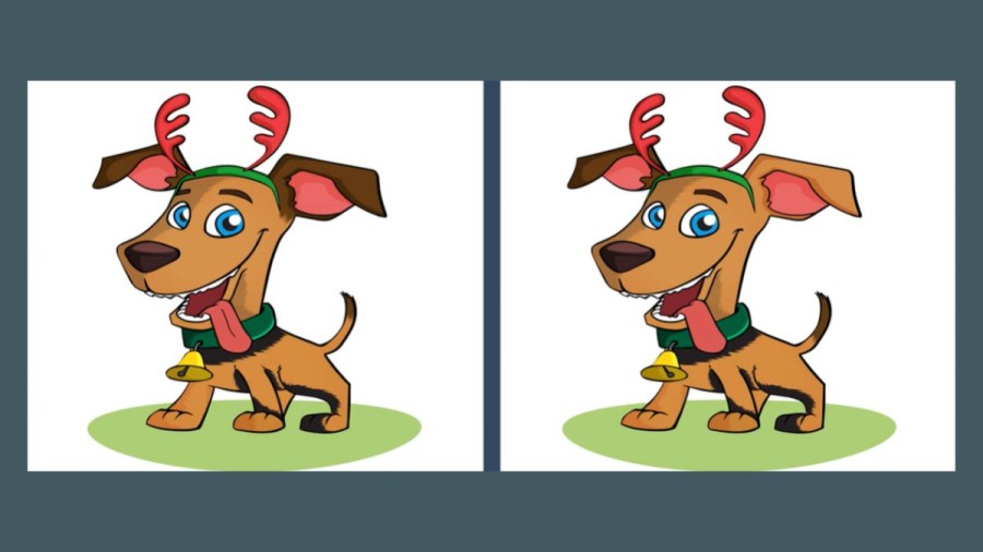 Brain Teaser Picture Puzzle: Can you Spot 3 Differences Between these Two Images?