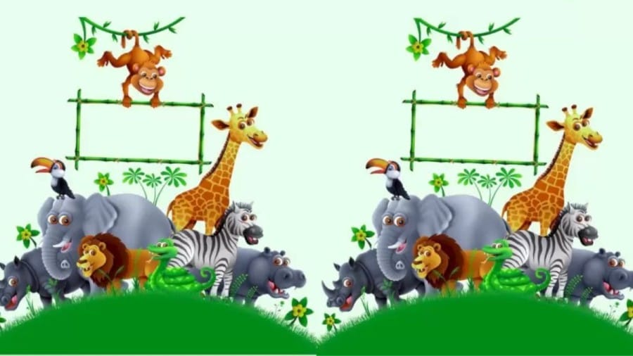 Brain Teaser Picture Puzzle: Find 5 Differences Between these Two Images