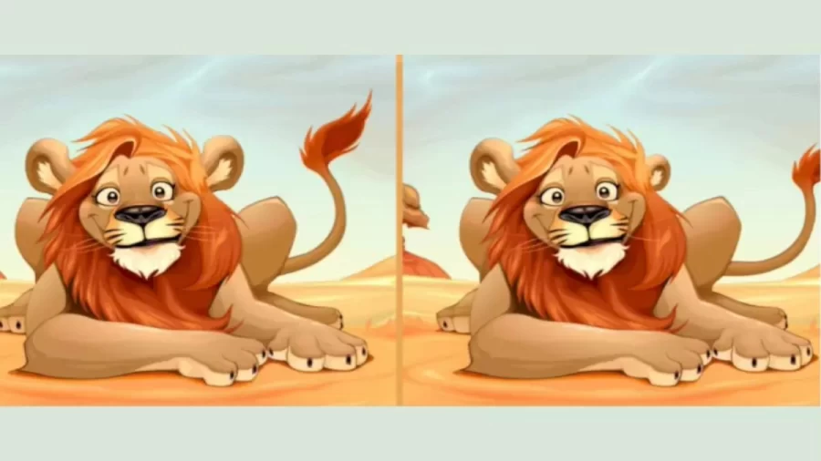 Brain Teaser Picture Puzzle - How Many Differences Do You See In 30 Secs?
