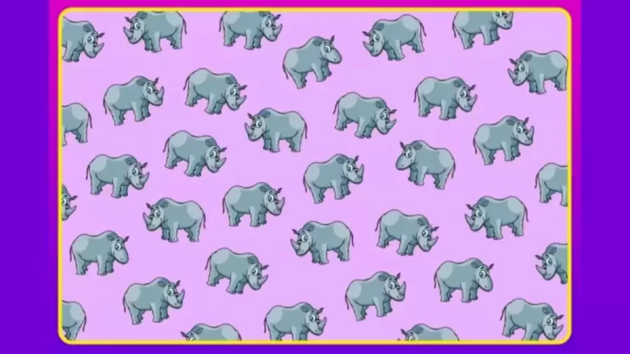 Brain Teaser Visual Puzzle: How Many Hornless Rhinos Are There?