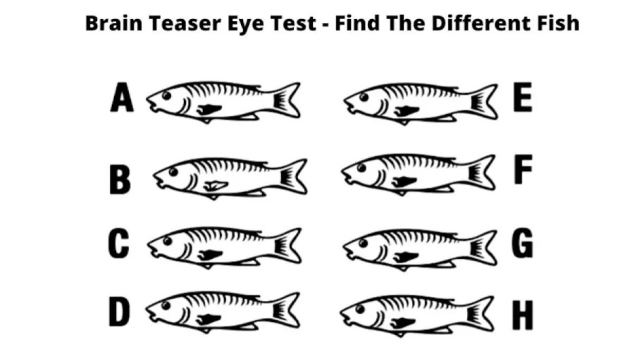Brain Teaser Visual Test - Find The Different Fish