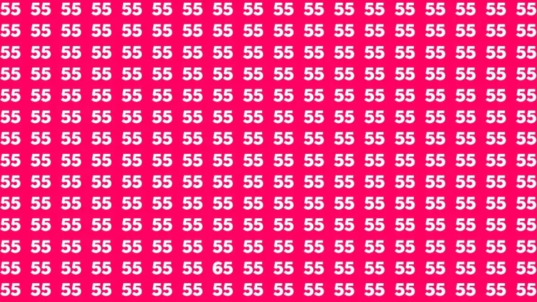 Brain Test: If you have a 50/50 Vision Find the ​Number 65 in 20 Secs