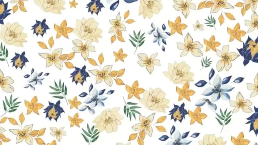 Can You Detect The Hidden Easter Egg In This Floral Theme Within 21 Seconds? Explanation And Solution To The Hidden Easter Egg Optical Illusion