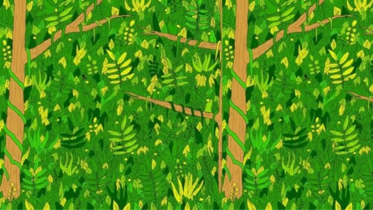 Can You Detect The Well Hidden Snake In This Optical Illusion Within 27 Seconds?