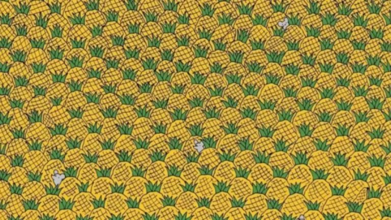 Can You Find Four Corns Among The Pineapples Within 18 Seconds? Explanation And Solution To This Corns Optical Illusion