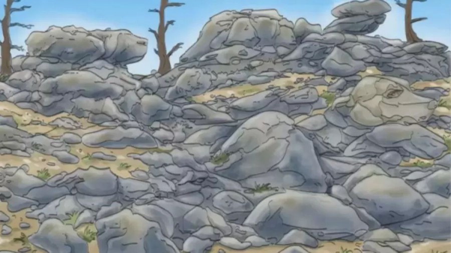 Can You Find The Dog Hidden In The Mountains? Explanation And Solution To The Optical Illusion
