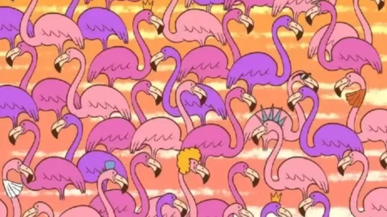 Can You Find a Tiny Heart Hidden Among these Flamingoes? Explanation and Solution To The Optical Illusion