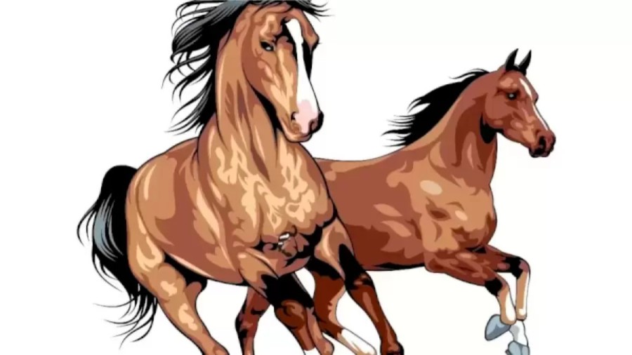 Can You Find the Hidden Horse Rider in 12 Seconds? Explanation And Solution To The Optical Illusion