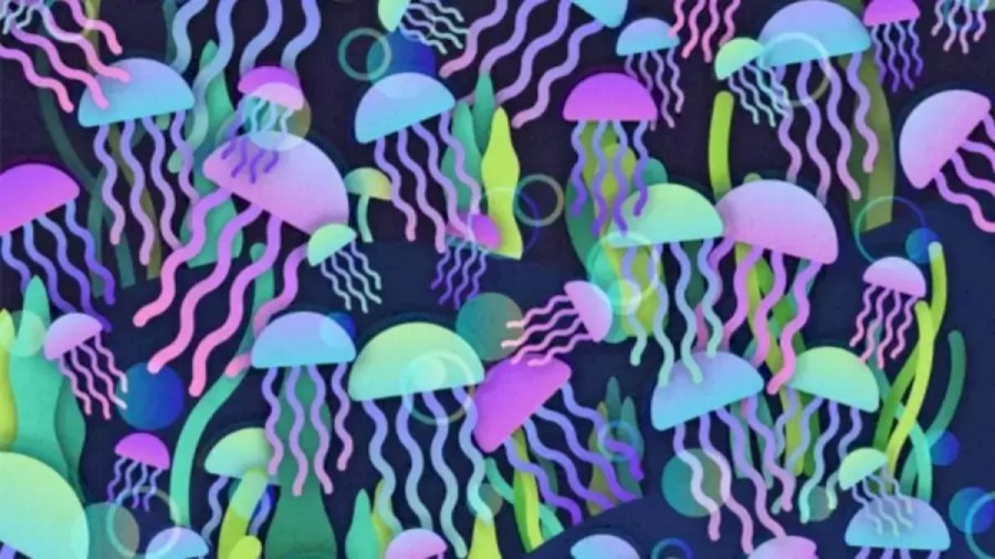 Can You Find the Hidden Mushroom Among These Jellyfish Within 12 Seconds? Explanation and Solution to the Hidden Mushroom Optical Illusion