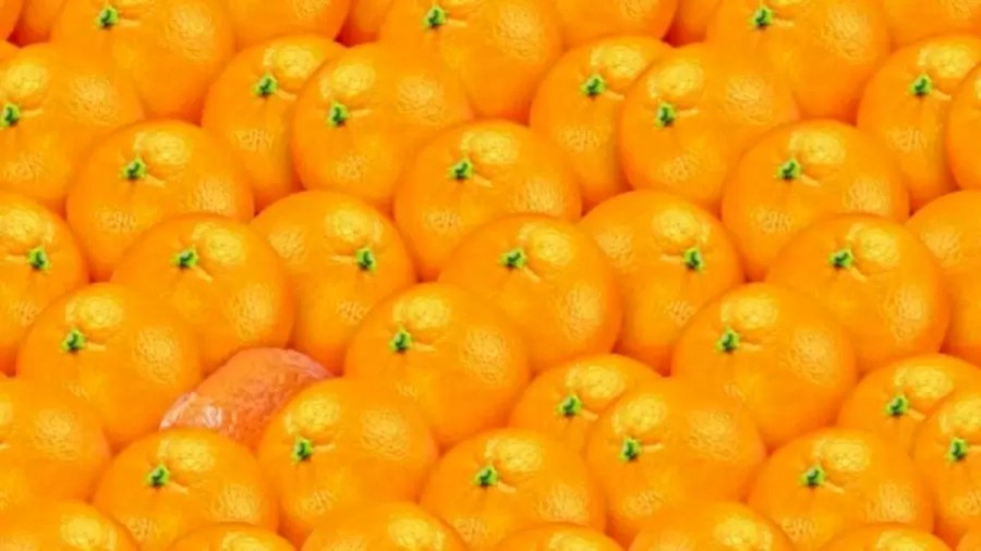 Can You Spot The Hidden Tangerine Among These Oranges Within 15 Seconds? Explanation And Solution To The Hidden Tangerine Optical Illusion