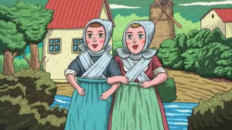 Can you find these Twin Sisters Brothers Within 25 Secs? Explanation and Solution to the Optical Illusion