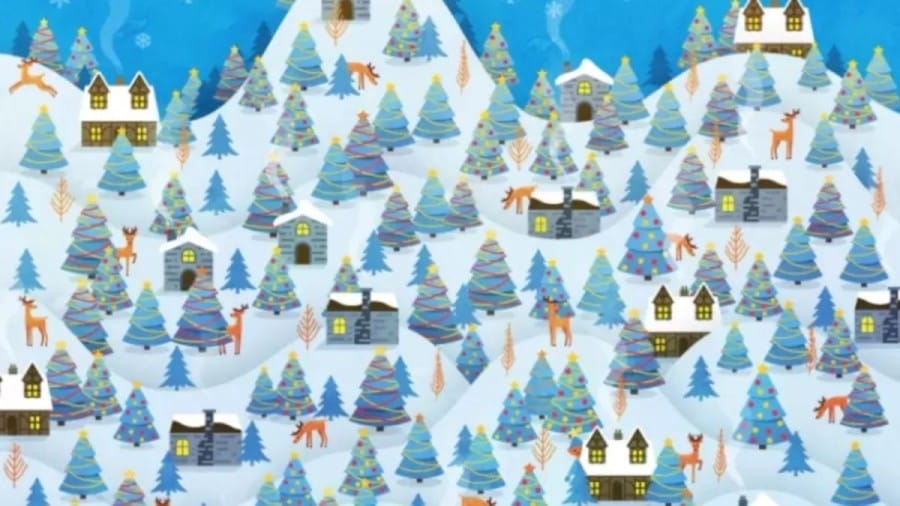 Christmas Optical Illusion: Can you find Santas Missing Chief Elf within 40 Seconds?