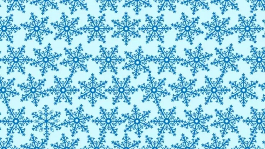 Do You Notice The Different Snowflake In This Tricky Optical Illusion?