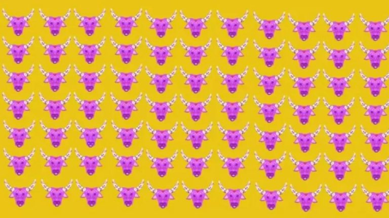 Eye Test Optical Illusion: One Of The Design Patterns Of The Cow Face Is Different From The Others. Can You Find It?