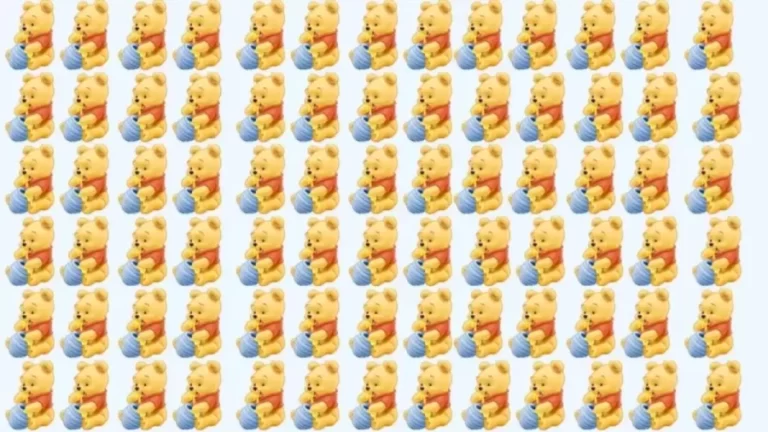 Find The Odd Winnie The Pooh In This Brain Teaser Picture Puzzle