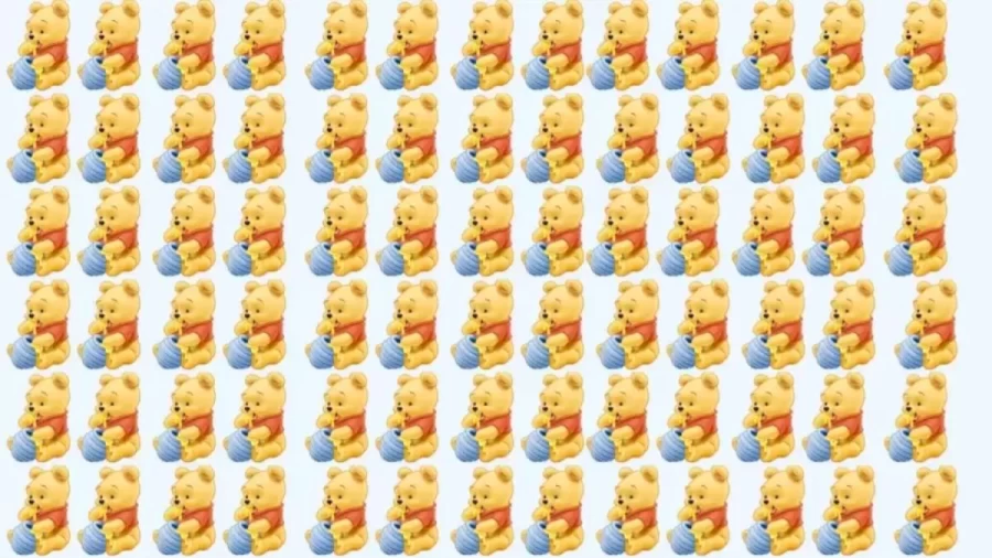 Find The Odd Winnie The Pooh In This Brain Teaser Picture Puzzle