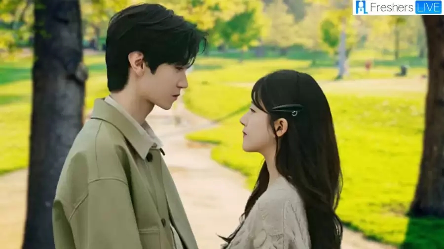Hidden Love Chinese Drama Review and Ending Explained
