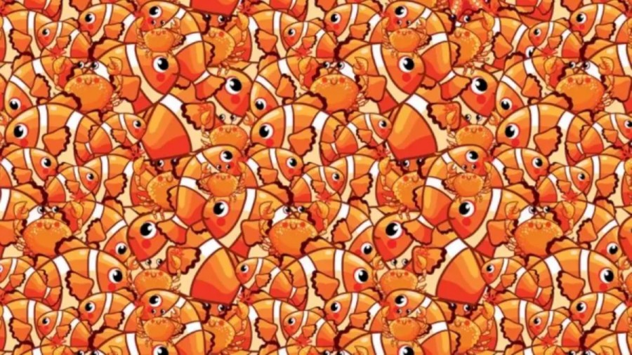 It Is Not Just Some Fishes And Crabs. There Is Also A Hidden Starfish In This Optical Illusion. Do You Notice It?