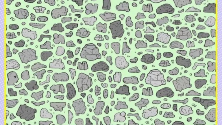 It Is Not Just Some Rocks. There Is A Hidden Face Among Them. Can You Spot It In This Optical Illusion?