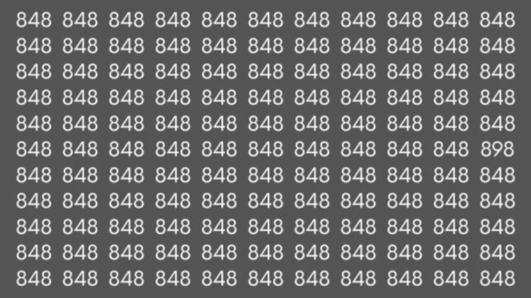 Observation Skills: Can you find the number 898 among 848 in 10 seconds?