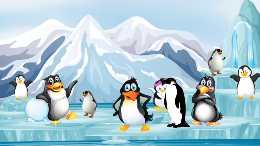 One Of These Penguins Is Holding A Cup, Can You Spot It And Solve This Brain Teaser?