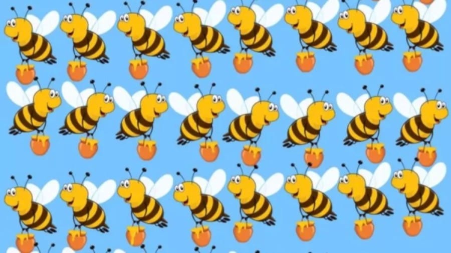 One of the Bee in this Optical Illusion is Different from the Rest. Can you find it?