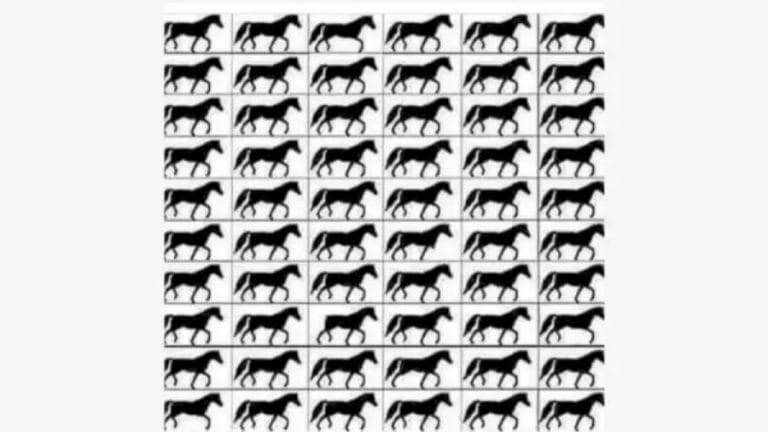 Optical Illusion Brain Test: How Many Horses with 3 Legs?