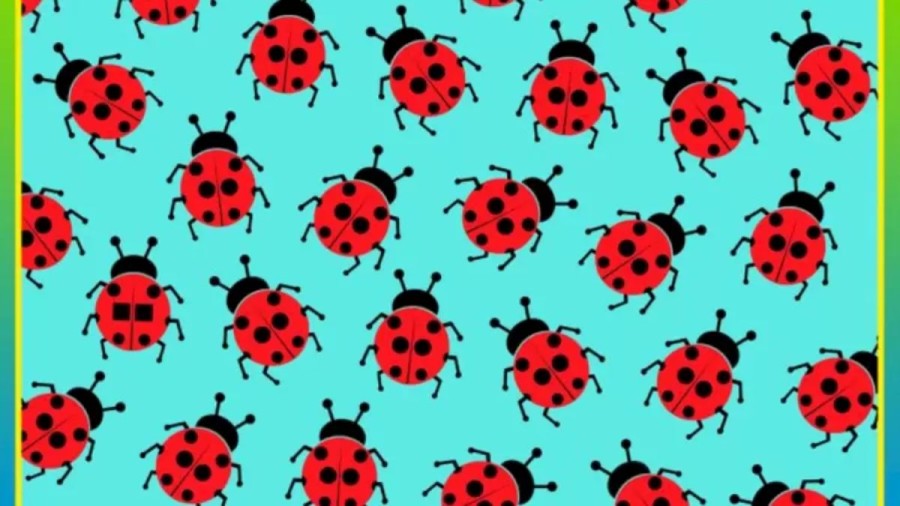 Optical Illusion Brain Test: You Are A Intelligent If You Detect The Ladybug With Square Spots In Less Than 16 Seconds