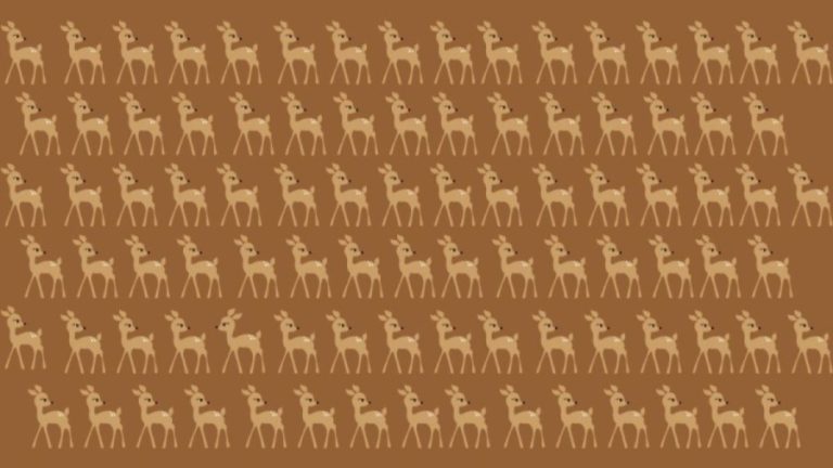 Optical Illusion Brain Test: You Got 15 Seconds. Try To Identify The Different Deer In This Image