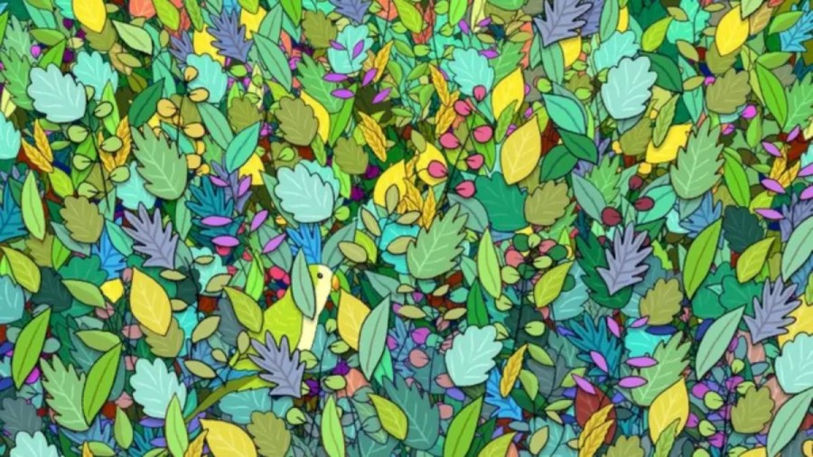 Optical Illusion: Can You Detect the Parakeet Among these Leaves within 16 Seconds?