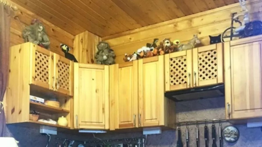 Optical Illusion: Can You Find the Hidden Cat in 15 Seconds?