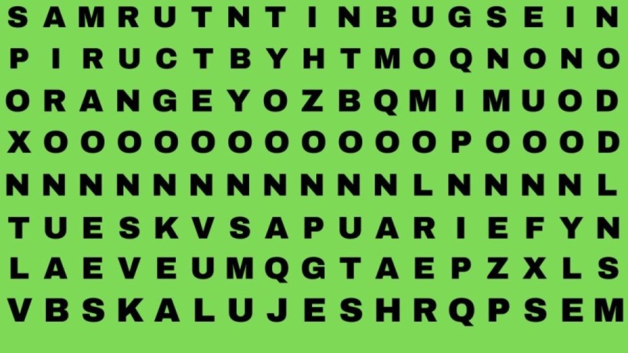 Optical Illusion: Can You Find the Word PLATE in 12 Seconds?