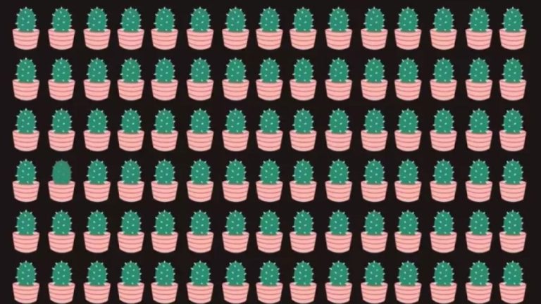 Optical Illusion: Can You Identify The Odd Plant In This Optical Illusion Within 13 Seconds?