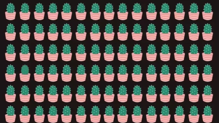 Optical Illusion: Can You Identify The Odd Plant In This Optical Illusion Within 13 Seconds?