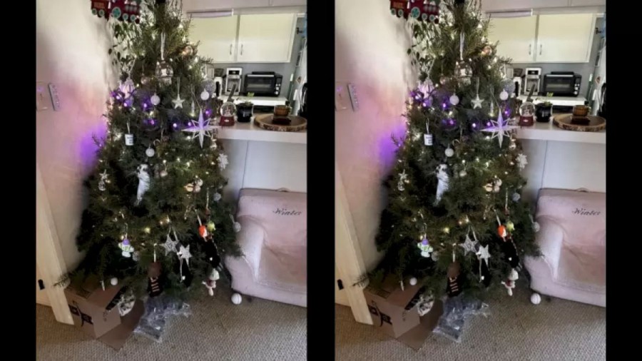 Optical Illusion: Can You Locate The Hidden Cat within 20 Secs?