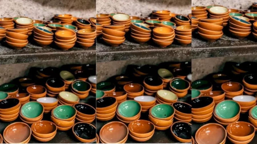 Optical Illusion: Can You See The Housefly Among These Bowls Within 18 Seconds?