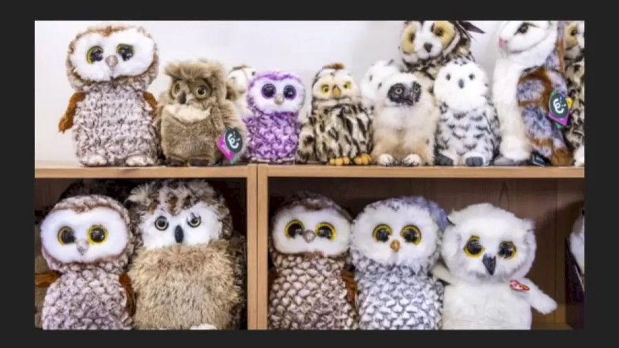 Optical Illusion: Can You Spot The Real Owl Among These Cuddly Toys Within 28 Seconds?