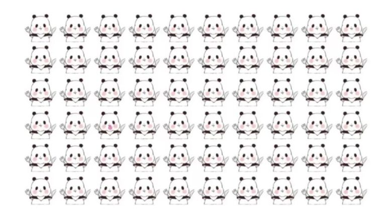 Optical Illusion: Can You Spot the Different Panda in 12 Seconds?