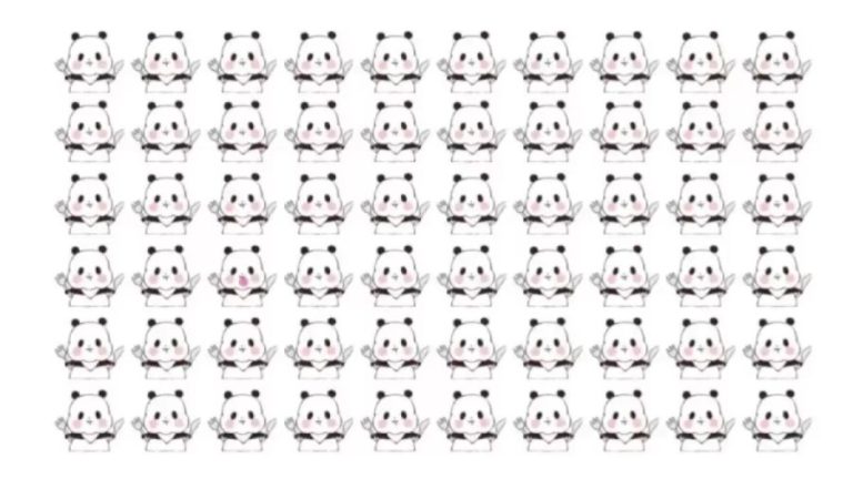 Optical Illusion: Can You identify the Different Panda in 12 Seconds?