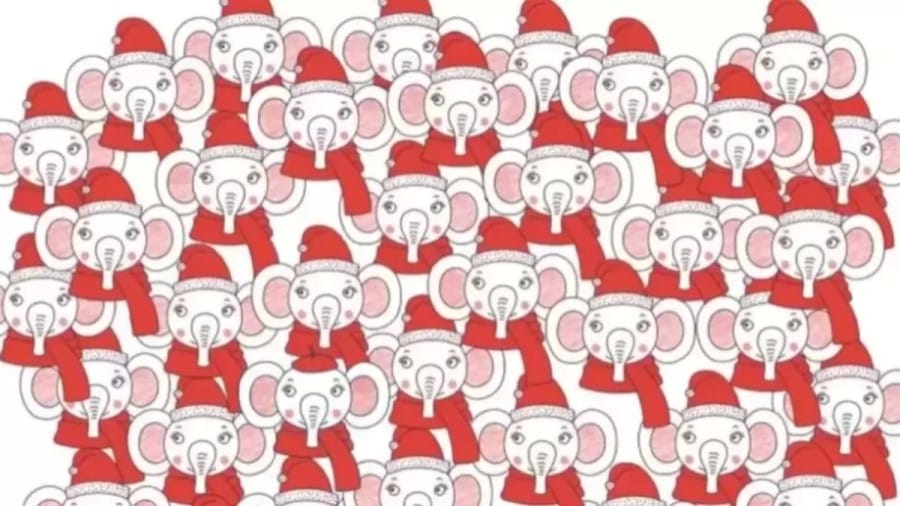 Optical Illusion: Can you spot the Elephant with a Beret in 15 Seconds?