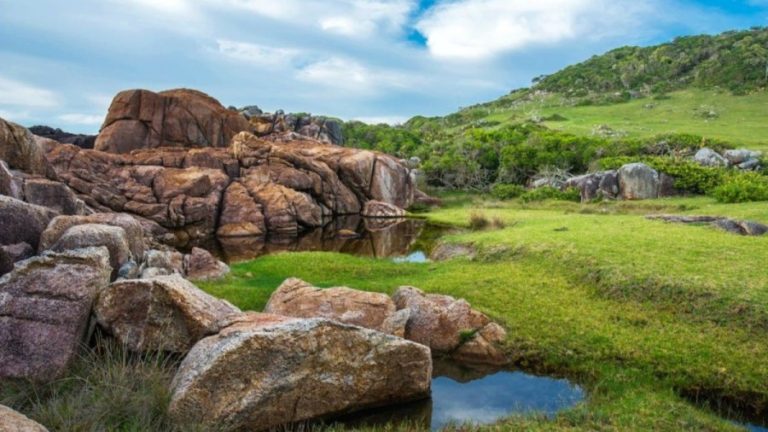 Optical Illusion Challenge: Are You Smart Enough To Detect The Puma In This Rock Formation Within 12 Seconds?