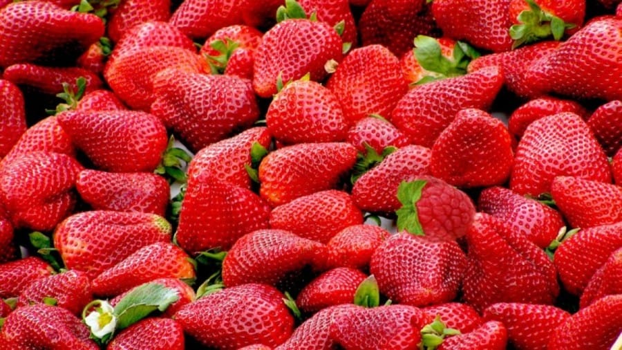 Optical Illusion Challenge: Can you guys spot the hidden Raspberry within 12 secs?