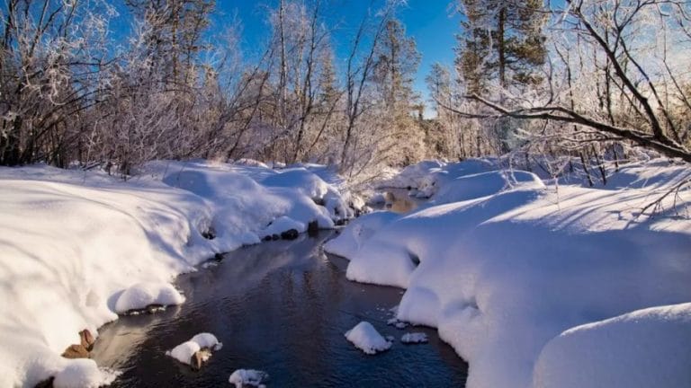 Optical Illusion Challenge: Do you see the Arctic Fox in this Snow Region?