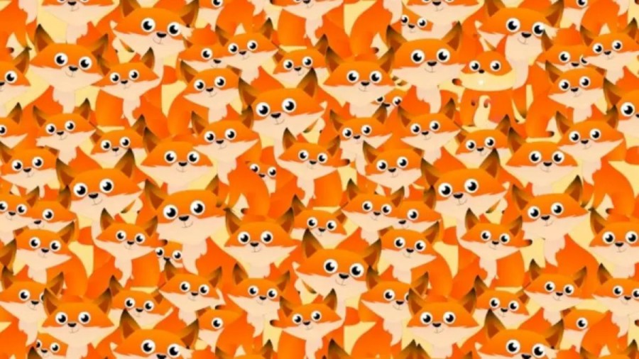 Optical Illusion Challenge: Squirrel Among Fox! Can You Locate The Squirrel In This Image In Less Than 21 Seconds?
