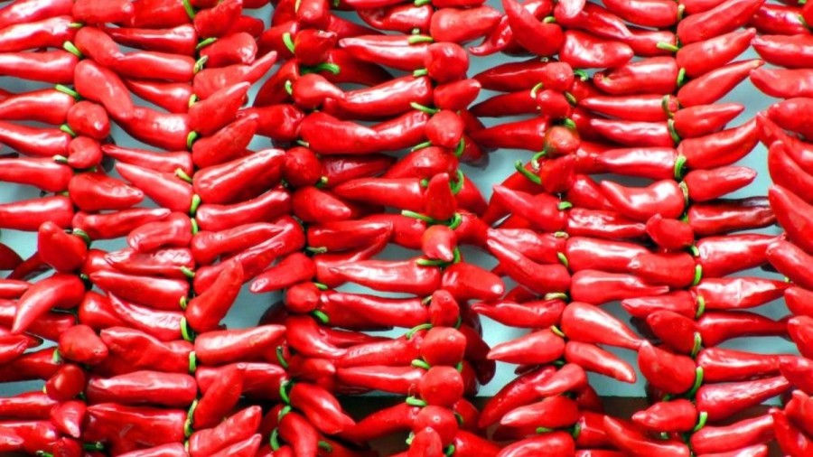 Optical Illusion Challenge: You Need To Be A Pro At Optical Illusions To Spot The Cherry Among These Chillies