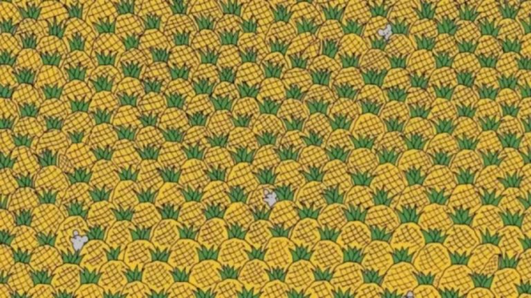 Optical Illusion: Eagle Eyes Can Detect Four Corns Among the Pineapples in 30 Secs