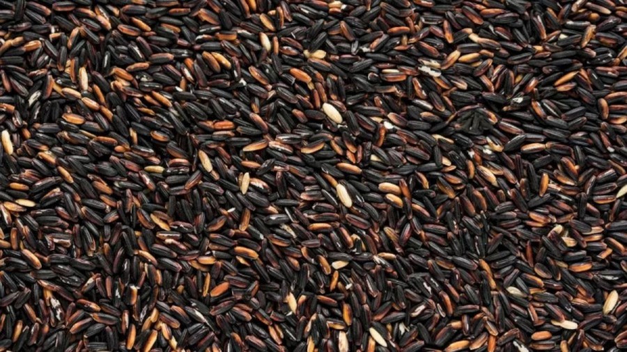 Optical Illusion Eye Test: Can You Find a Charcoal Hidden Among the Grains in 10 Seconds?