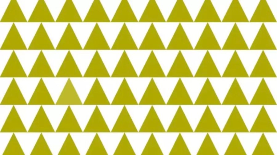 Optical Illusion IQ Test: You Need To Be An Attentive Person To Find The Different Coloured Triangle In This Image