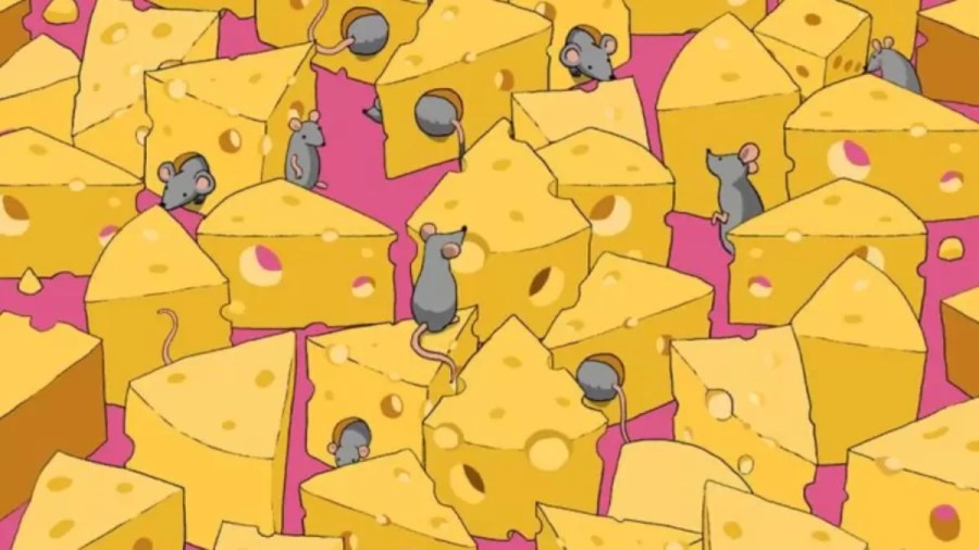 Optical Illusion: Locate the Dice Among these Cheese and Rats in less than 16 Seconds