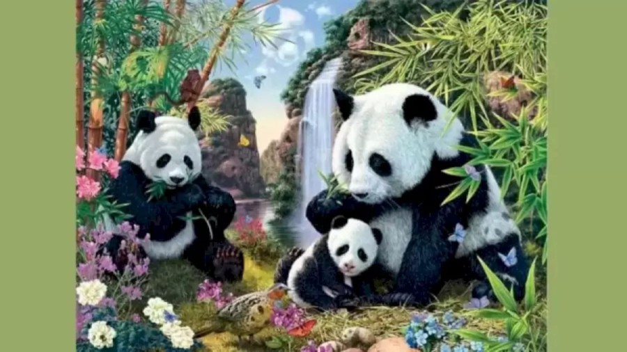 Optical Illusion Panda Search: Only 20% of People Can Find All the Hidden Pandas in 10 Seconds?